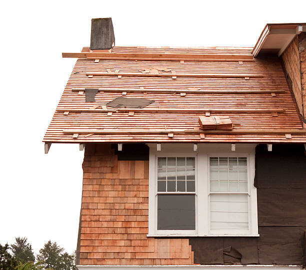 Best Siding Maintenance  in Columbus, KS